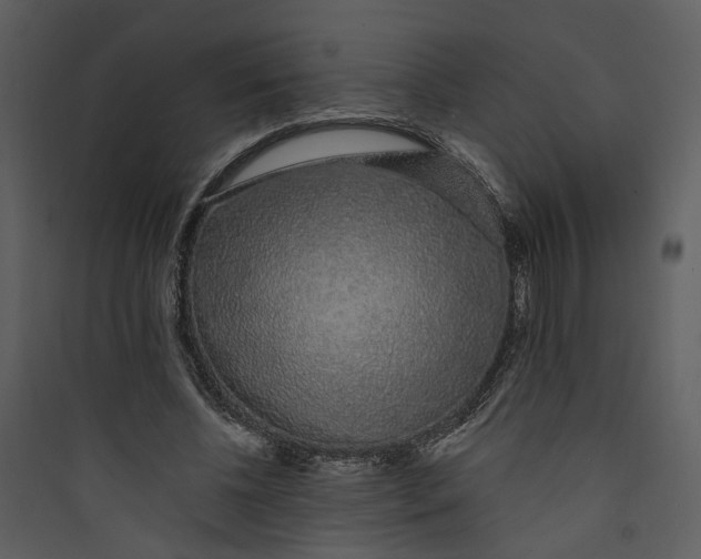 X0000089760540200707121405