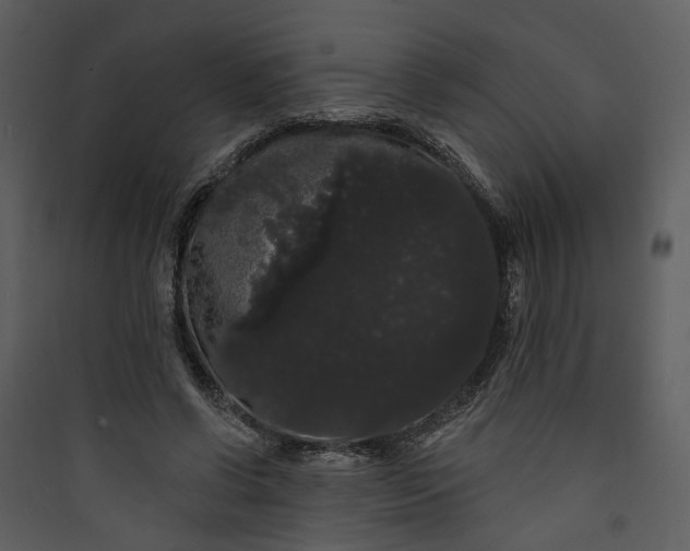 X0000089760542200707121405