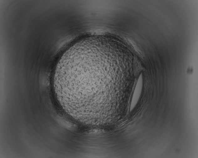 X0000089760543200707121405