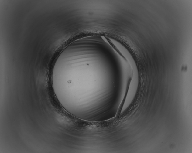 X0000089760544200707121405