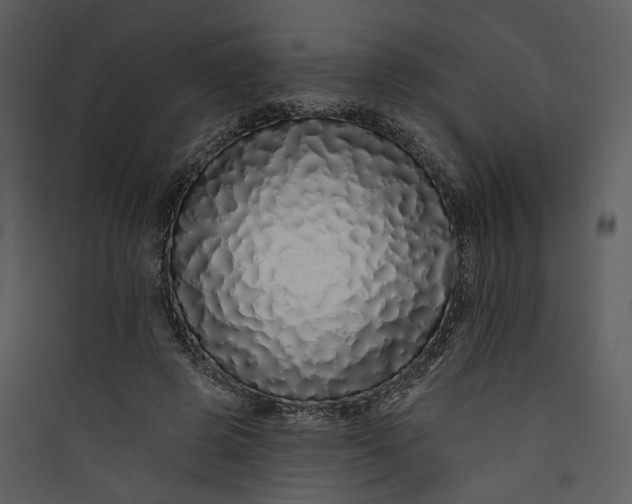 X0000089760545200707121405