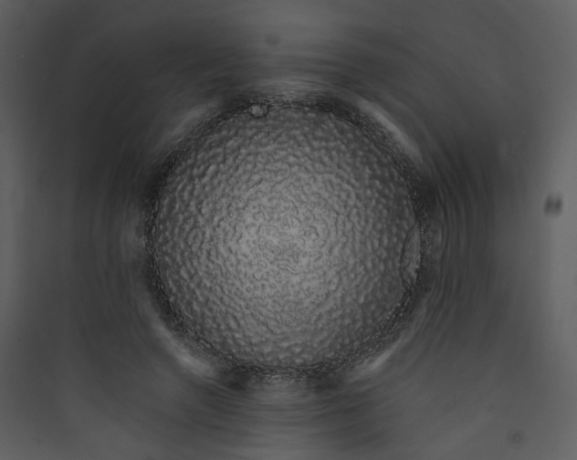 X0000089760546200707121405