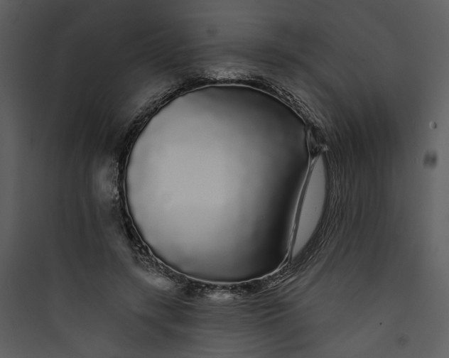 X0000089760547200707121405