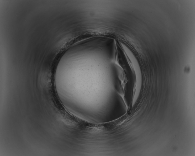 X0000089760548200707121405