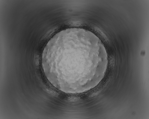 X0000089760549200707121405