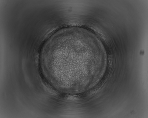 X0000089760550200707121405