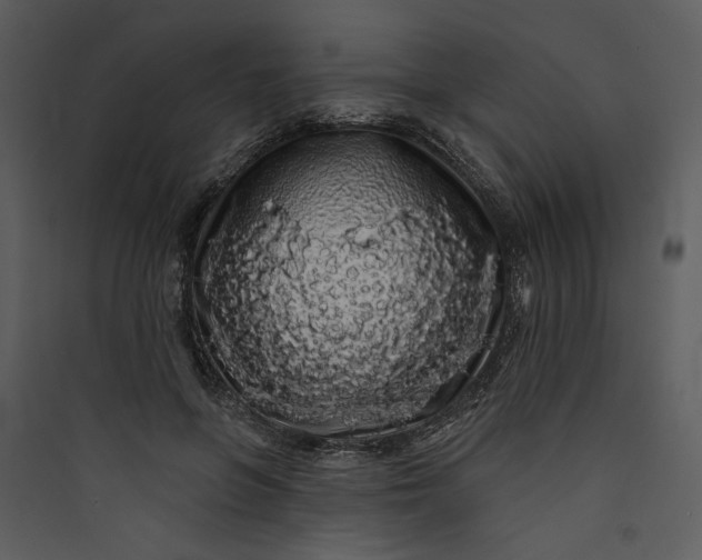 X0000089760551200707121405