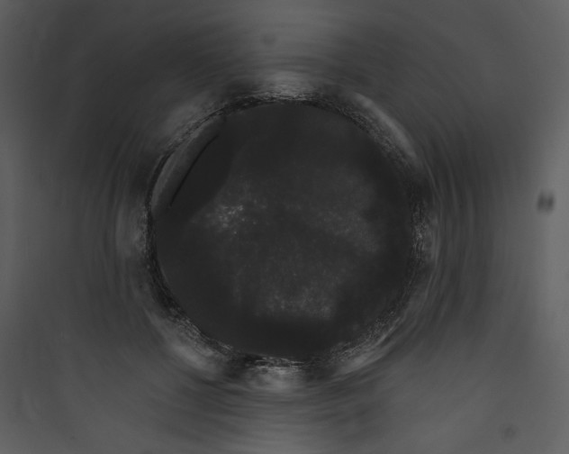 X0000089760552200707121405