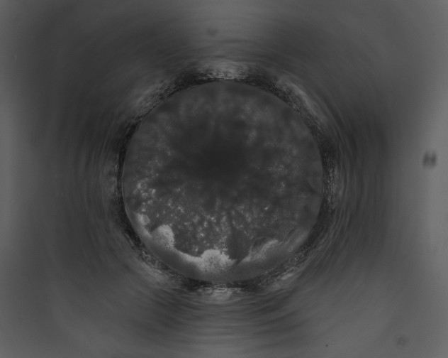 X0000089760553200707121405