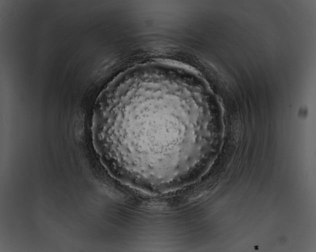 X0000089760554200707121405