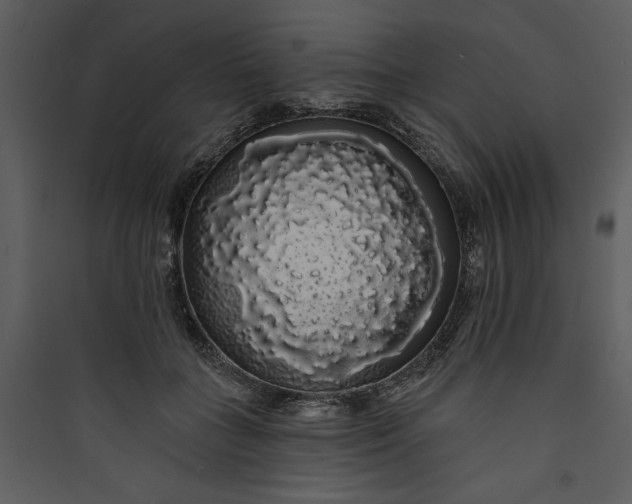 X0000089760555200707121405