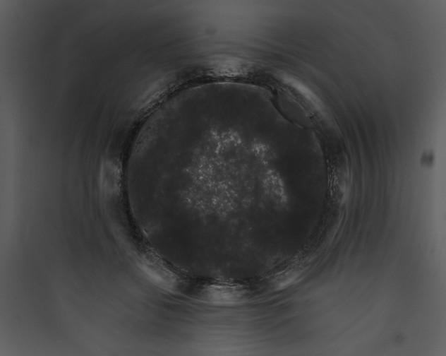 X0000089760556200707121405