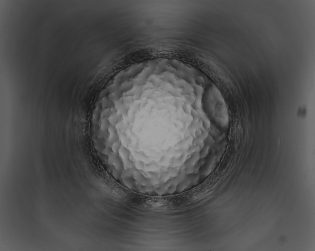 X0000089760557200707121405