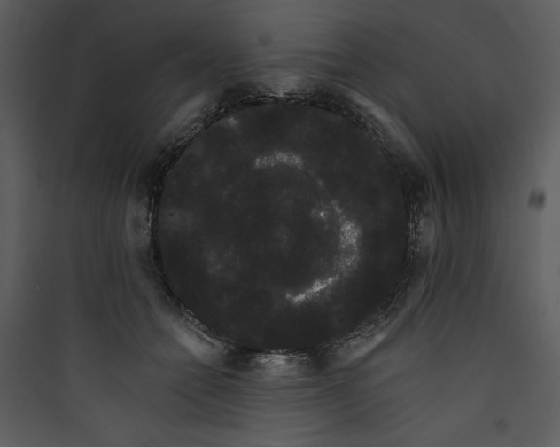 X0000089760558200707121405