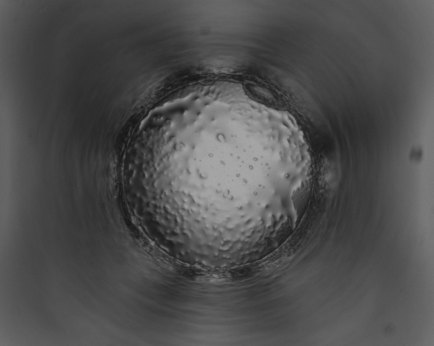 X0000089760559200707121405