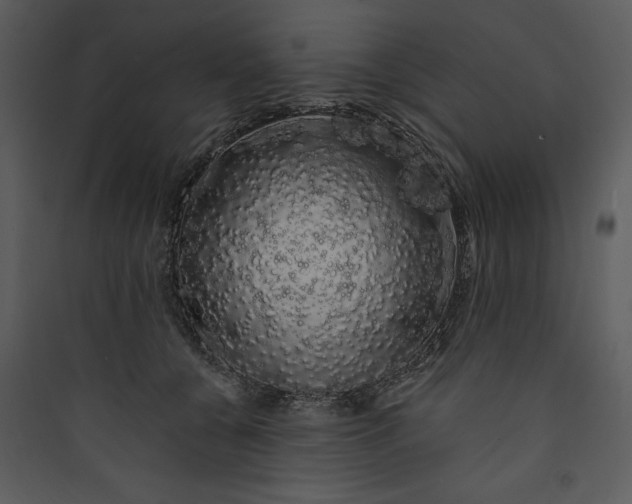 X0000089760560200707121405