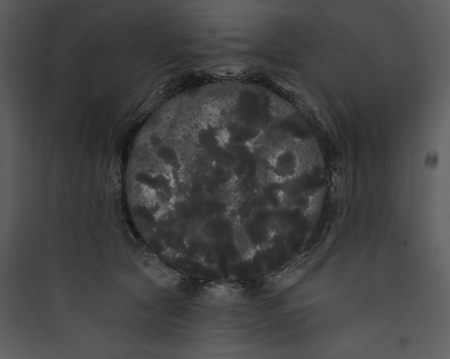 X0000089760561200707121405