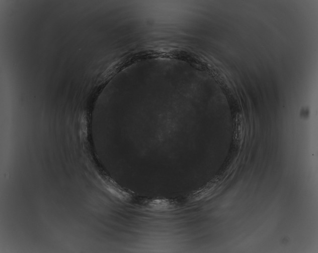 X0000089760562200707121405