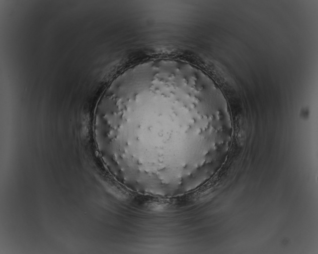 X0000089760563200707121406