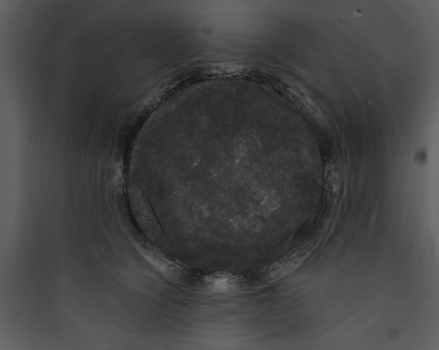 X0000089760564200707121406