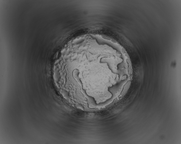 X0000089760565200707121406