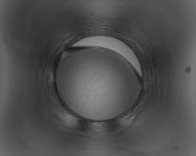 X0000089760566200707121406