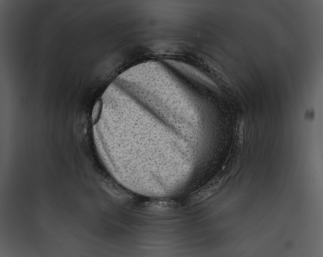 X0000089760567200707121406