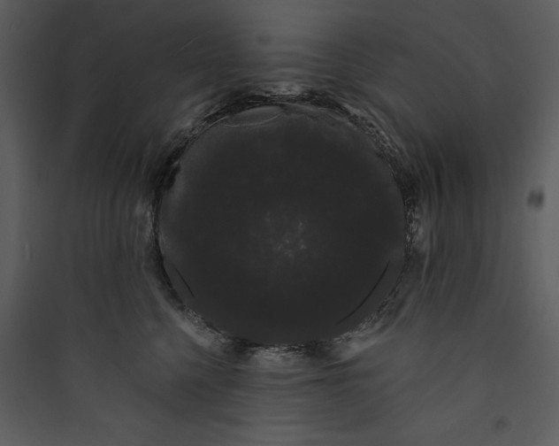 X0000089760568200707121406