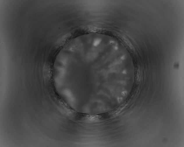 X0000089760569200707121406