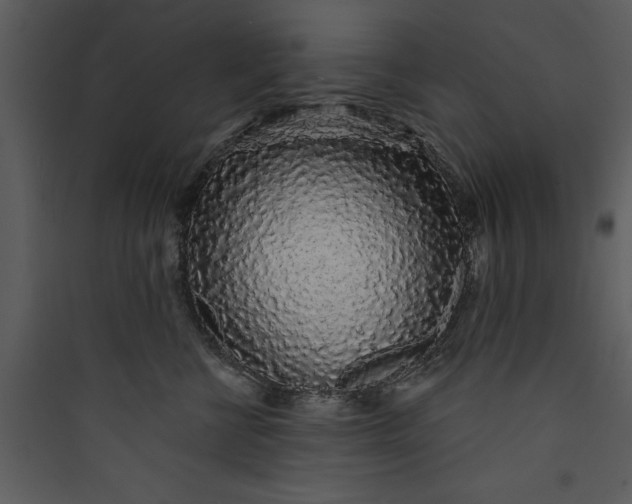 X0000089760570200707121406