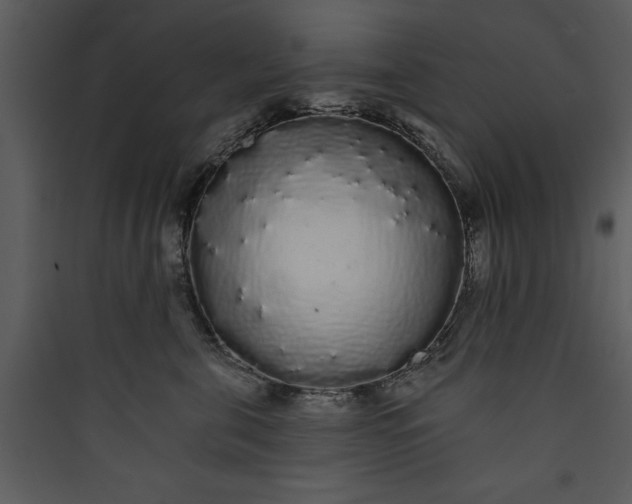 X0000089760571200707121406