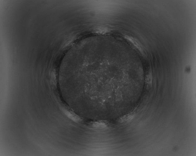 X0000089760572200707121406