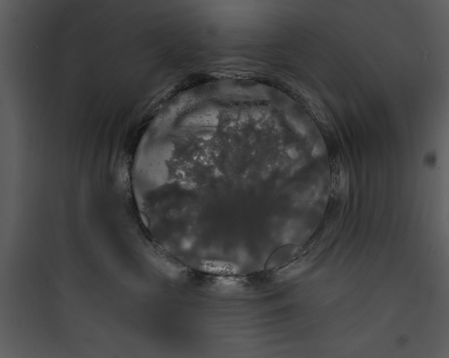 X0000089760573200707121406