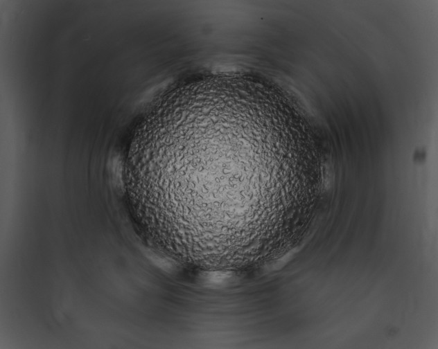 X0000089760575200707121406