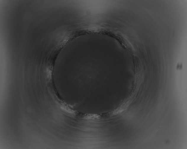 X0000089760576200707121406