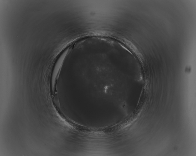 X0000089760577200707121405