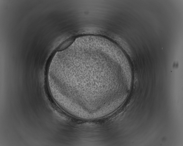 X0000089760578200707121405