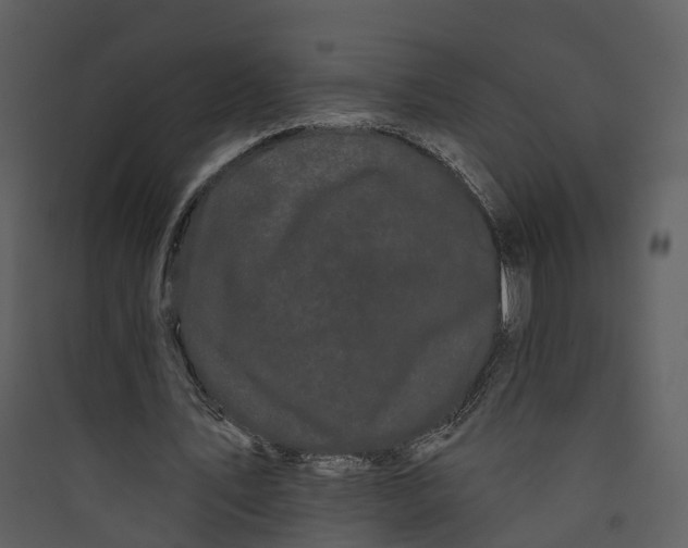 X0000089760579200707121405