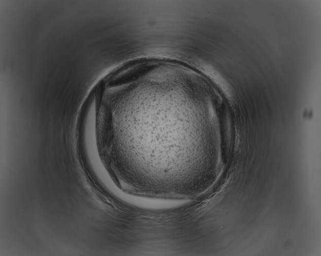 X0000089760580200707121405