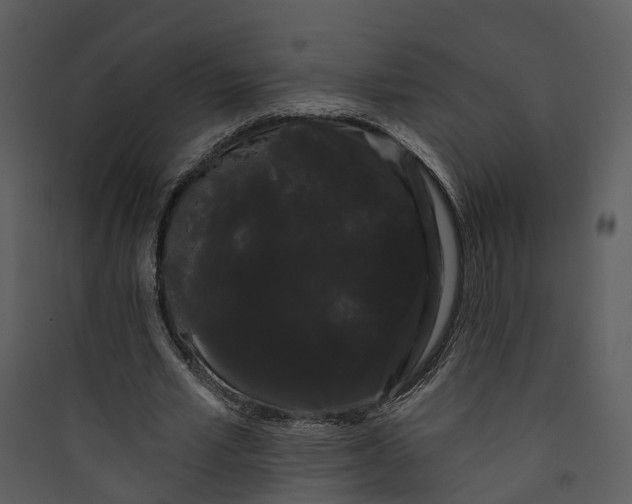 X0000089760581200707121405