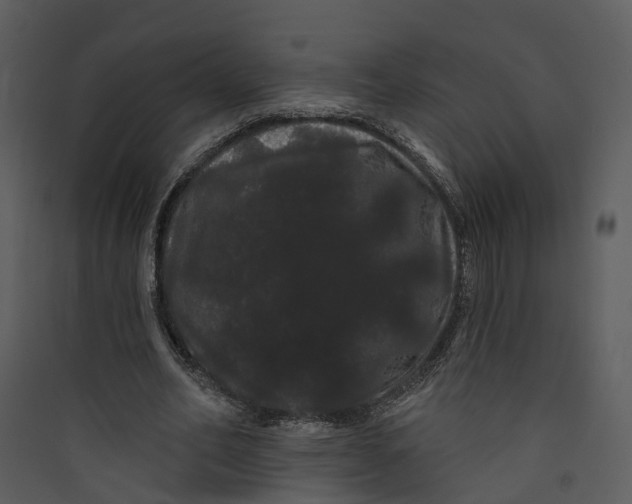 X0000089760582200707121405