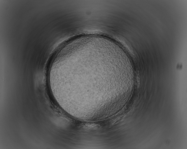 X0000089760583200707121405