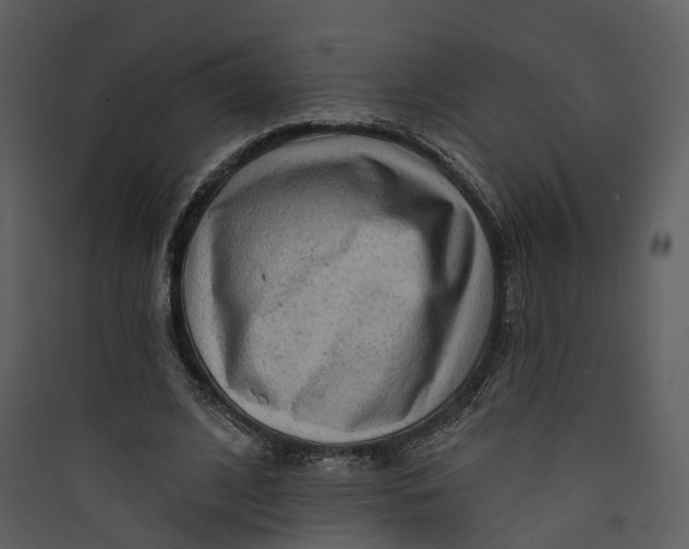 X0000089760584200707121405