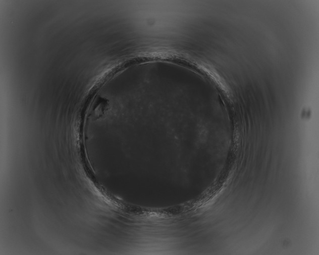 X0000089760585200707121405