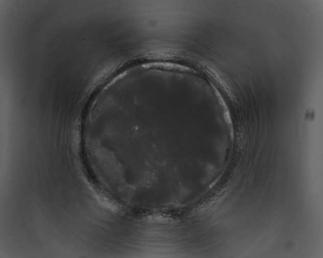 X0000089760586200707121405