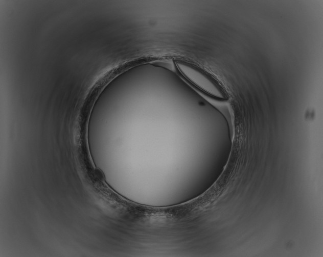 X0000089760587200707121405