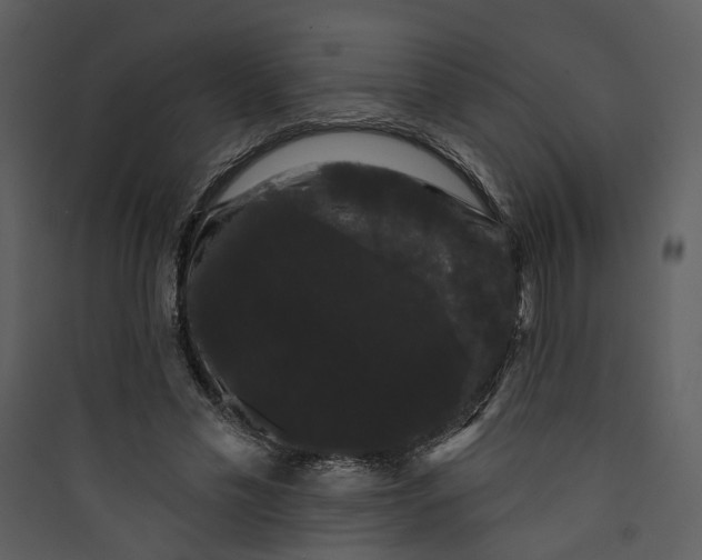 X0000089760589200707121405