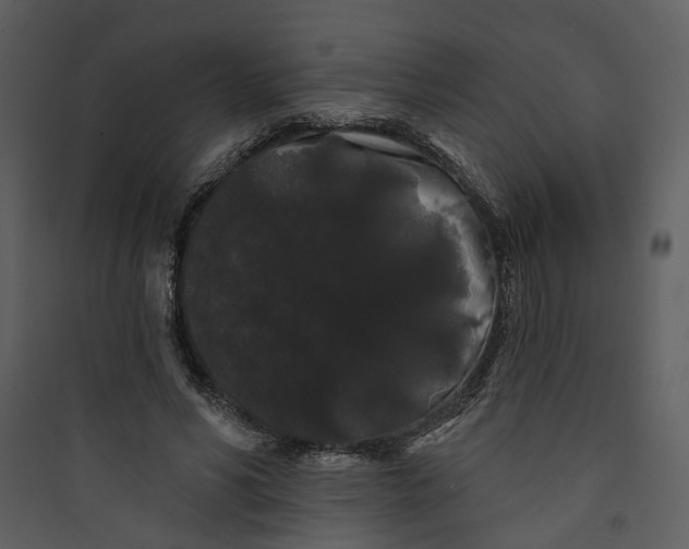 X0000089760590200707121405