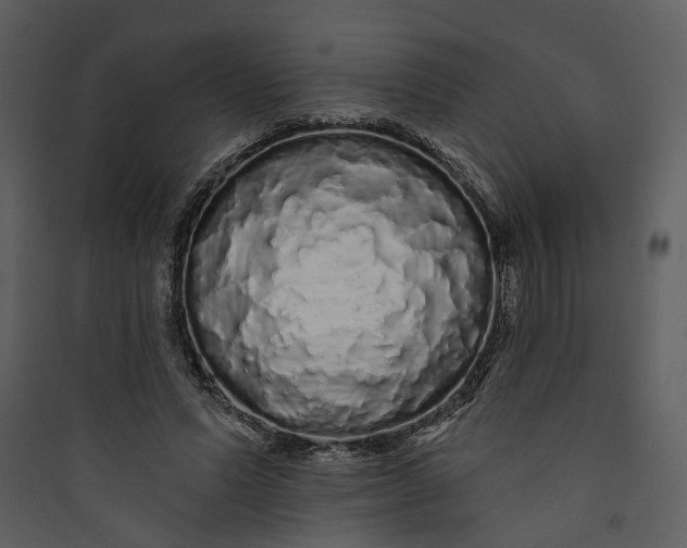 X0000089760591200707121405