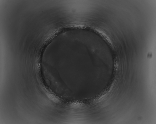 X0000089760593200707121405